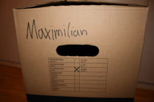 Ein beschrifteter Umzugskarton